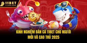 Kinh Nghiệm Bắn Cá 11bet Cho Người Mới Và Cao Thủ 2025